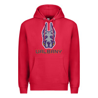 Cardinal Ualbany Great Danes Premium Hoodie - linhVisuals