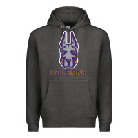 Charcoal Heather Ualbany Great Danes Premium Hoodie - linhVisuals