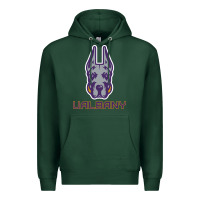 Sports Green Ualbany Great Danes Premium Hoodie - linhVisuals