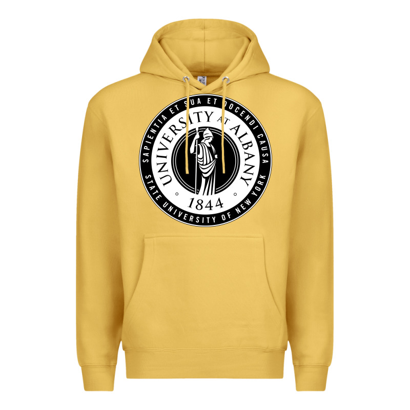 University Albany Suny Premium Hoodie by linhVisuals | Teevron