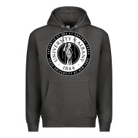 Charcoal Heather University Albany Suny Premium Hoodie - linhVisuals