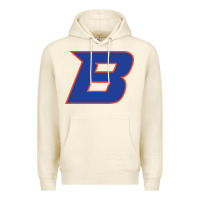 Sandshell new-boise-state Premium Hoodie - linhVisuals