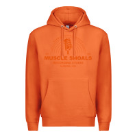 Carrot recording studio Premium Hoodie - linhVisuals
