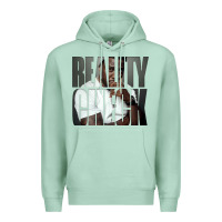 Kevin Hart Album Art Premium Hoodie | Teevron