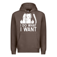 Coffee i do what i want cat giving a finger funny middle finger rude graphic Premium Hoodie - linhVisuals