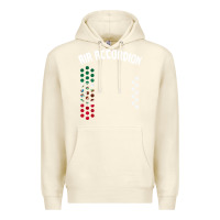 Sandshell mexican flag air accordion music instrument lover gift Premium Hoodie - linhVisuals