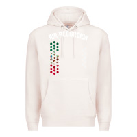 Pale Pink mexican flag air accordion music instrument lover gift Premium Hoodie - linhVisuals