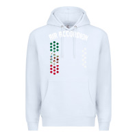 White mexican flag air accordion music instrument lover gift Premium Hoodie - linhVisuals