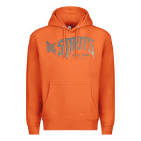 Carrot new the struts-body talk Premium Hoodie - linhVisuals