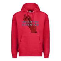 Cardinal interpol Premium Hoodie - linhVisuals