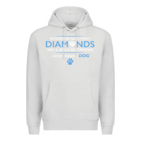 Dove Grey whoever said that diamonds are a girls best friend never owned a dog Premium Hoodie - linhVisuals