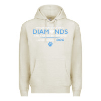 Oatmeal Heather whoever said that diamonds are a girls best friend never owned a dog Premium Hoodie - linhVisuals