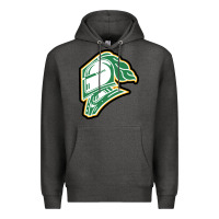 Charcoal Heather knights-london-merch Premium Hoodie - linhVisuals