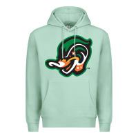 Seafoam down east wood ducks Premium Hoodie - linhVisuals