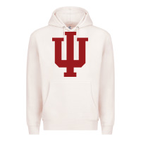 Pale Pink indiana gifts Premium Hoodie - linhVisuals