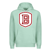 Seafoam Bradley University Athletics Premium Hoodie - linhVisuals