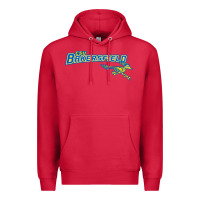 Cardinal cal state bakersfield roadrunners Premium Hoodie - linhVisuals