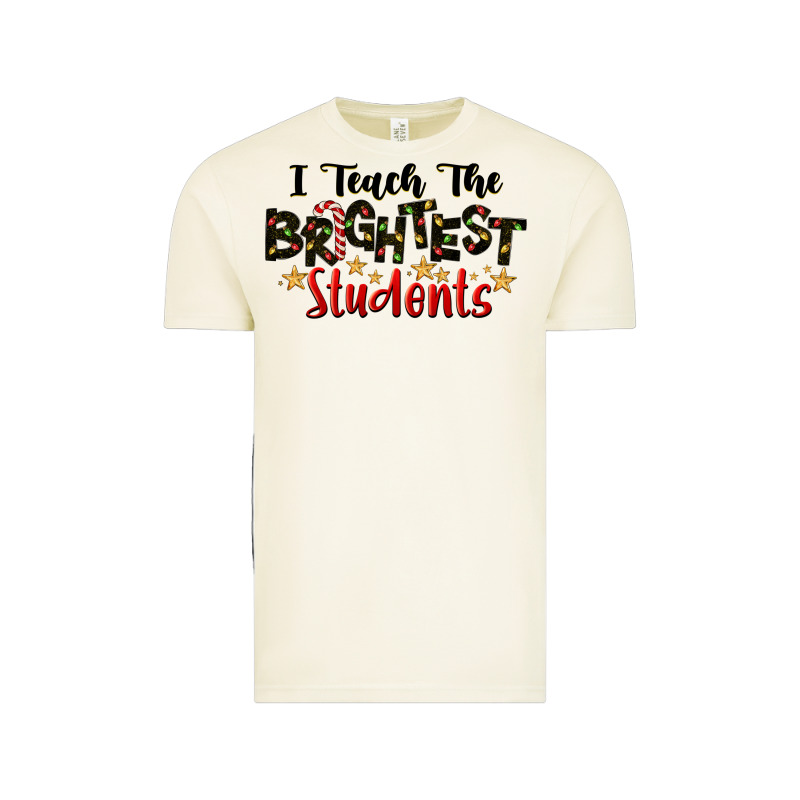 I Teach The Brightest Students Vintage Tee by LillyAllenDesigns | Teevron