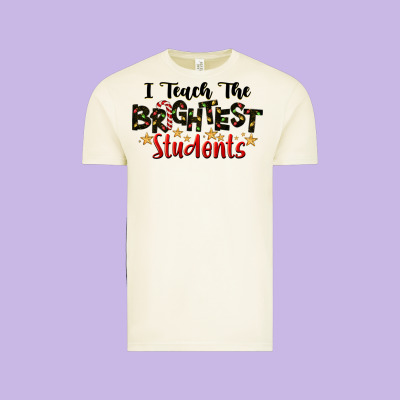 I Teach The Brightest Students Vintage Tee Designed By Lillyallendesigns
