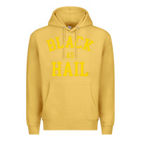 Antique Gold as,hail,black,as,hail,black,as,hail,black,as,hail,black,as Premium Hoodie - linhVisuals