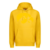 Lemon university of iowa athletics teams gear Premium Hoodie - linhVisuals
