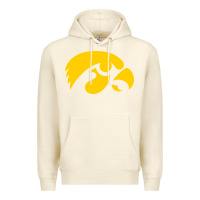 Sandshell university of iowa athletics teams gear Premium Hoodie - linhVisuals