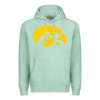 Seafoam university of iowa athletics teams gear Premium Hoodie - linhVisuals
