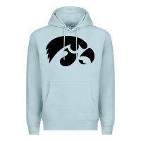 Blue Mist university of iowa athletics teams gear Premium Hoodie - linhVisuals