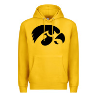 University Of Iowa Athletics Teams Gear Premium Hoodie | Teevron
