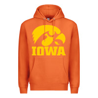 Carrot university of iowa athletics teams gear Premium Hoodie - linhVisuals