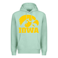 Seafoam university of iowa athletics teams gear Premium Hoodie - linhVisuals