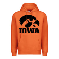 Carrot university of iowa athletics teams gear Premium Hoodie - linhVisuals