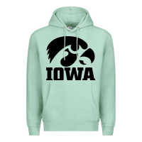Seafoam university of iowa athletics teams gear Premium Hoodie - linhVisuals