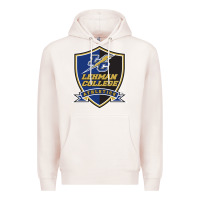 Pale Pink lehman college lightning Premium Hoodie - linhVisuals