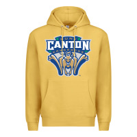 Antique Gold suny canton Premium Hoodie - linhVisuals