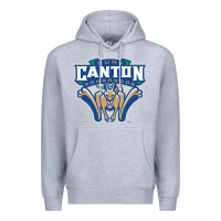Heather Grey suny canton Premium Hoodie - linhVisuals