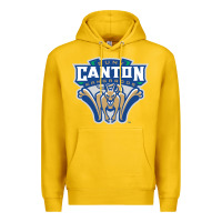 Lemon suny canton Premium Hoodie - linhVisuals