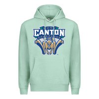 Seafoam suny canton Premium Hoodie - linhVisuals