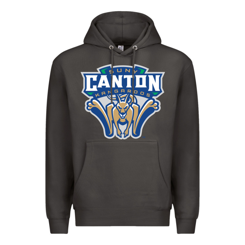 Suny Canton Premium Hoodie by linhVisuals | Teevron