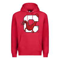 Cardinal suny cortland red dragons Premium Hoodie - linhVisuals
