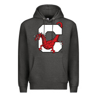 Charcoal Heather suny cortland red dragons Premium Hoodie - linhVisuals