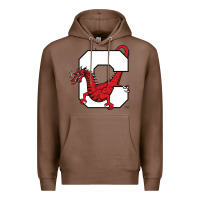 Chestnut suny cortland red dragons Premium Hoodie - linhVisuals
