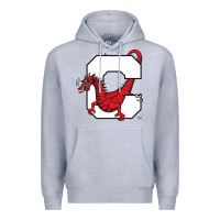Heather Grey suny cortland red dragons Premium Hoodie - linhVisuals
