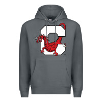 Rock suny cortland red dragons Premium Hoodie - linhVisuals