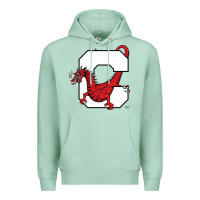 Seafoam suny cortland red dragons Premium Hoodie - linhVisuals