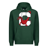 Sports Green suny cortland red dragons Premium Hoodie - linhVisuals