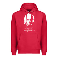 Cardinal albert einstein quote1 Premium Hoodie - linhVisuals