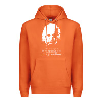 Carrot albert einstein quote1 Premium Hoodie - linhVisuals