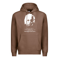 Chestnut albert einstein quote1 Premium Hoodie - linhVisuals