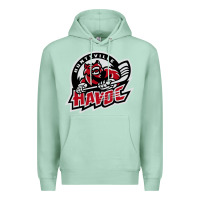 Seafoam huntsville havoc Premium Hoodie - linhVisuals